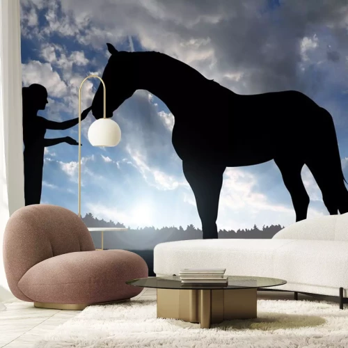 Sticker Frau und Pferd in Sonnenstrahlen