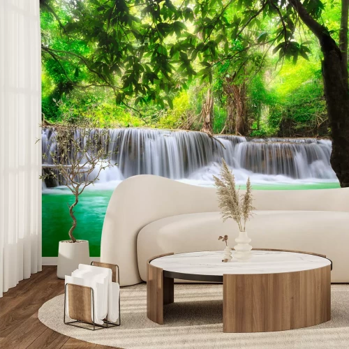 Fototapete Tropen auf der Landschaft