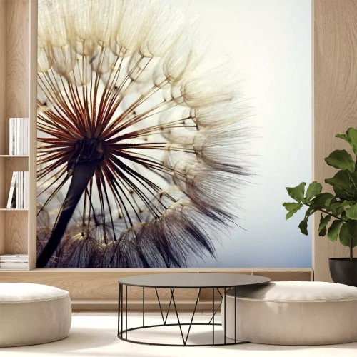 Fototapete Pusteblume vor dem Hintergrund des Himmels