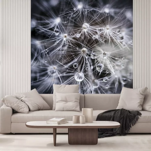 Fototapete Wassertropfen auf der Pusteblume