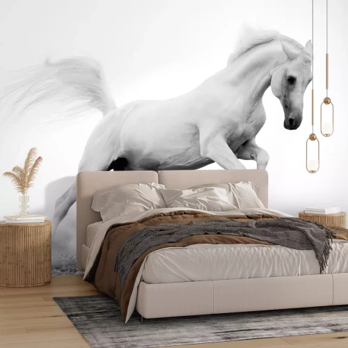 Fototapete Im sand galoppierendes pferd