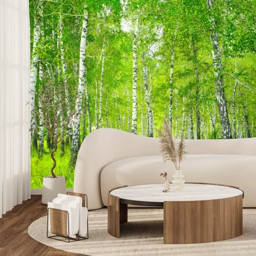 Fototapete Schöne Landschaft mit Bäumen im Birkenwald