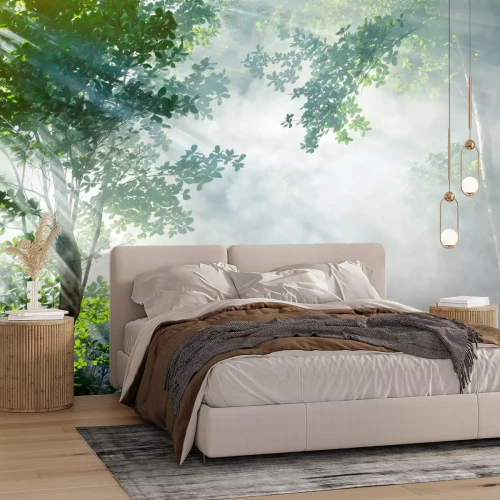 Fototapete Dschungel im Nebel