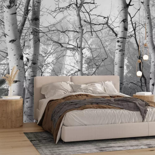 Fototapete Winteransicht mit Birken