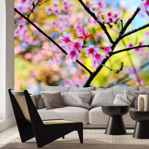 Fototapete Blühende rosa Blume