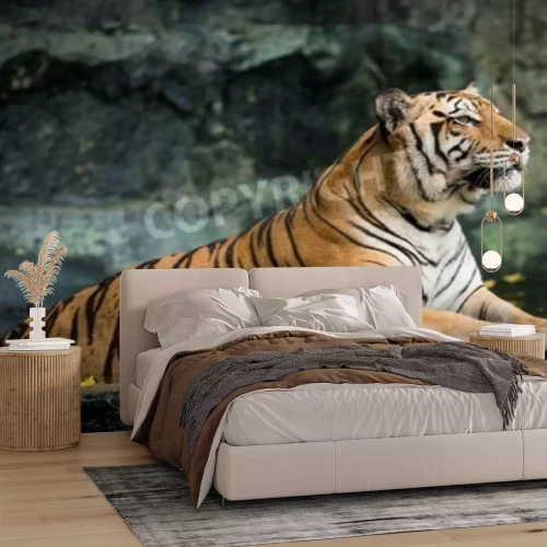 Fototapete Wachsamer tiger auf felsen