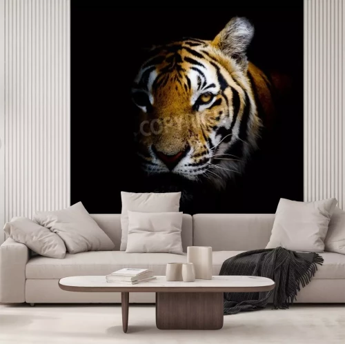 Fototapete Aus dem schatten kommender tiger