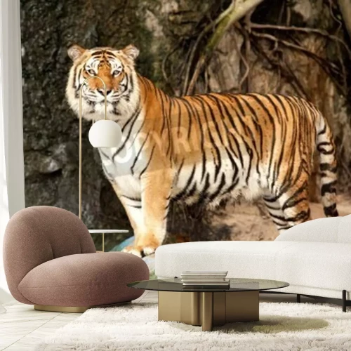 Fototapete Figur eines tigers auf einem stein