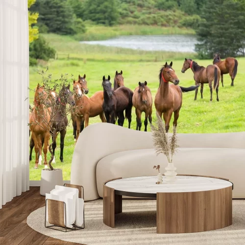 Sticker Silhouetten von braunen Pferden auf einer grünen Lichtung