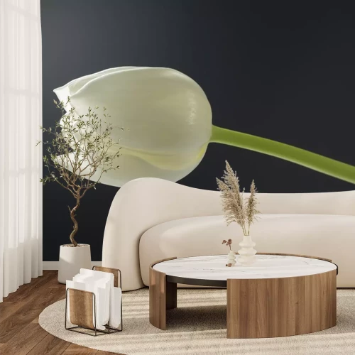 Sticker Tulpe auf grauem Hintergrund