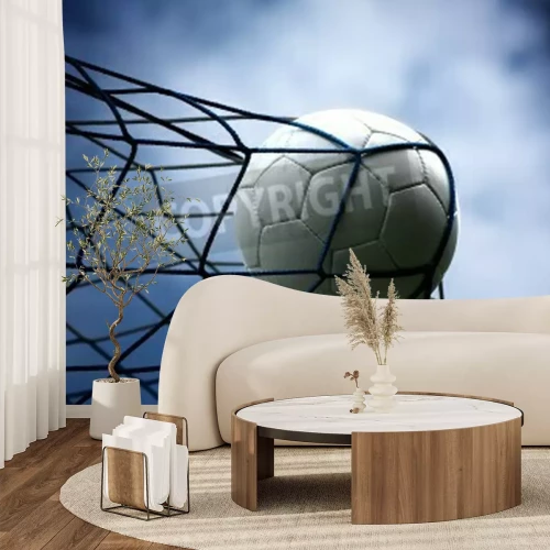 Fototapete Ball im Netz bei Nacht