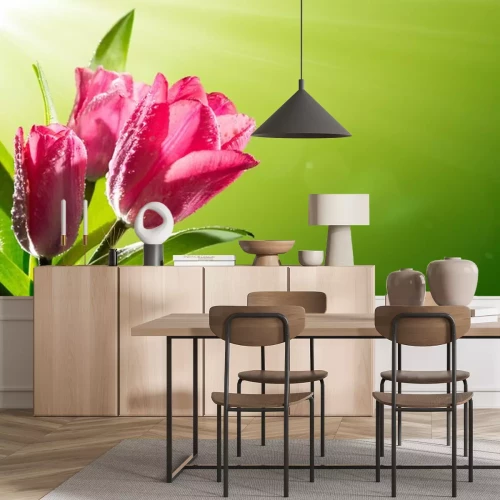 Sticker Rosa Tulpen im Sonnenschein