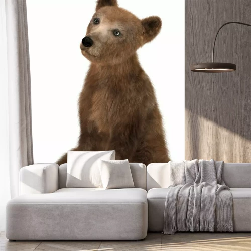 Sticker Kleiner Braunbär