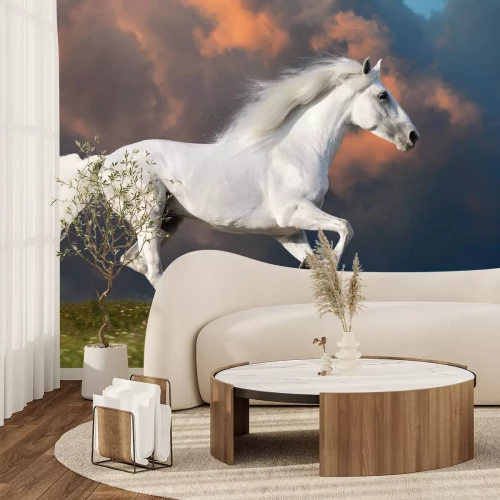Fototapete Ein weißes pferd in den wolken
