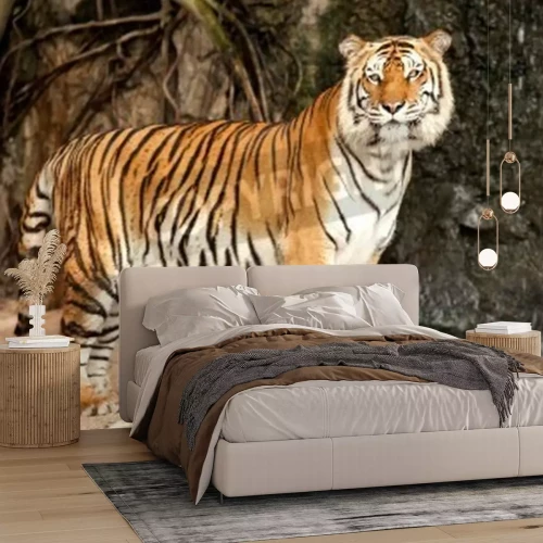 Fototapete Tiger mit baum im hintergrund