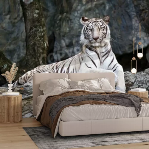 Fototapete Junger tiger, der sich auf einem felsen ausruht