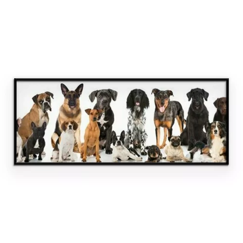 Poster Reinrassige Hunde vor hellem Hintergrund