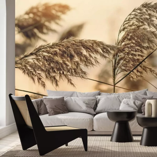 Fototapete Natürliches Motiv Nahaufnahme