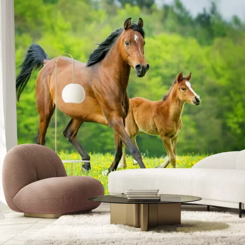 Fototapete Fohlen und stute inmitten der blumen