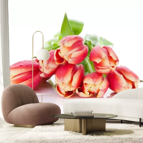 Sticker Tulpenköpfe von oben