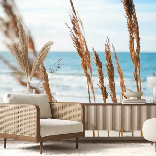 Fototapete Pflanzen auf Meeresdünen