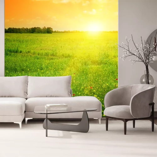 Fototapete Orange Sonnenaufgang über Feld