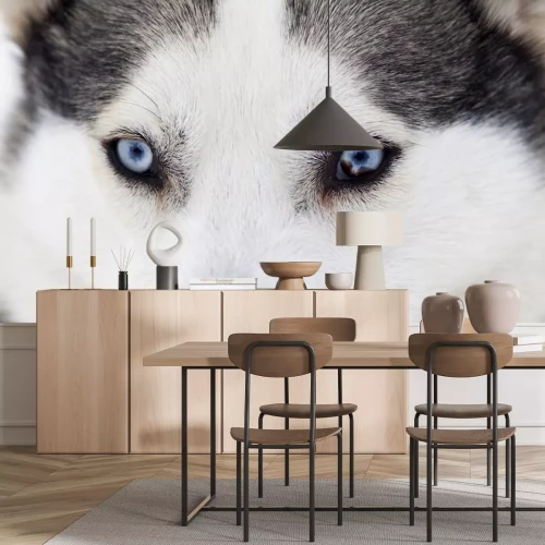 Sticker Wolfsaugen aus nächster Nähe