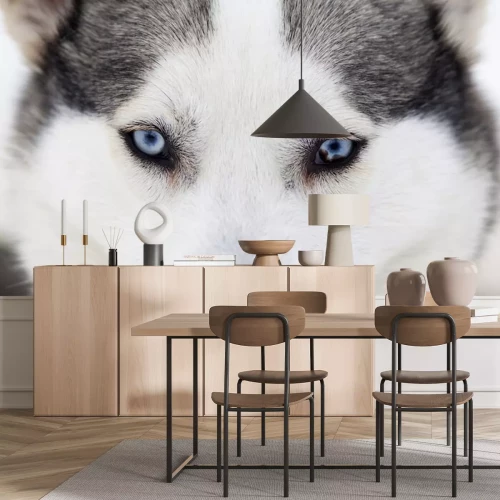 Sticker Wolfsaugen blau