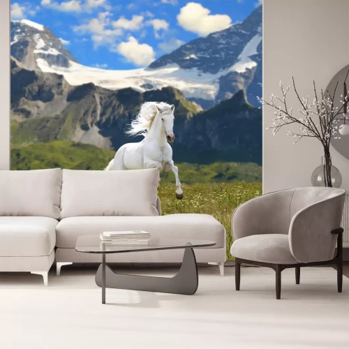 Fototapete Mustang in den bergen