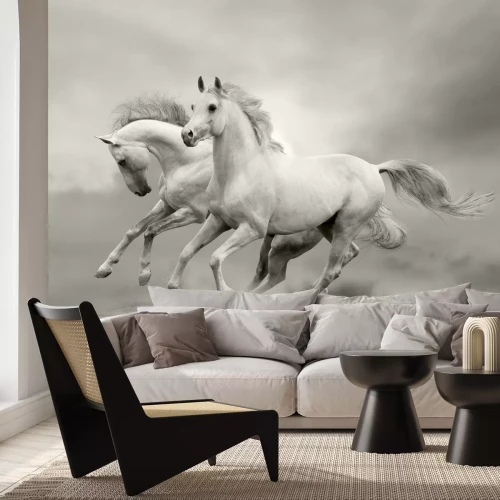 Fototapete Pferde im sommer