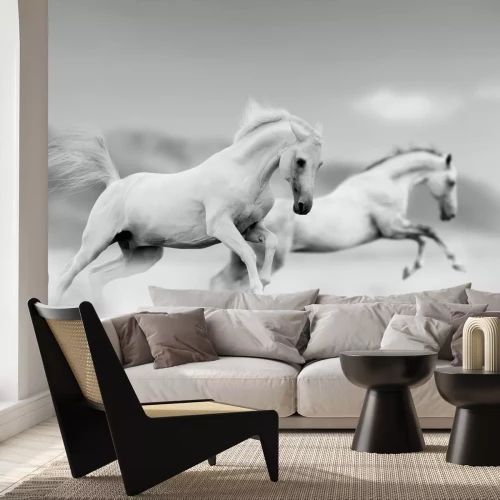 Fototapete Laufende pferde in schwarz-weiß