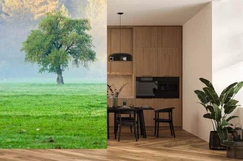 Visualisierung des Produkts