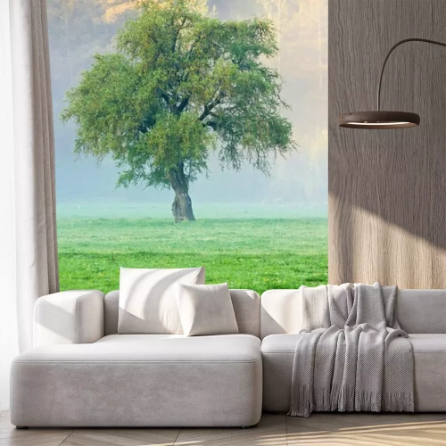 Fototapete Gras Baum und Nebel