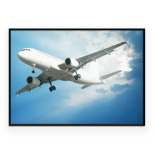 Poster Ein Passagierflugzeug am Himmel