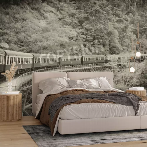 Fototapete Zug auf Talbrücke schwarz-weiße Farben