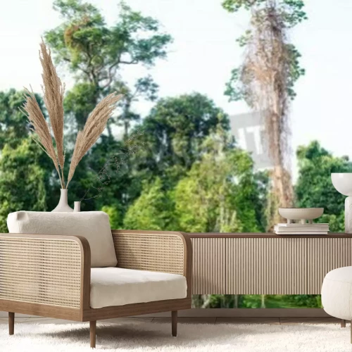 Fototapete Brücke im thailändischen Nationalpark