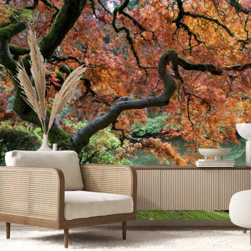 Fototapete Japanischer wald im herbst