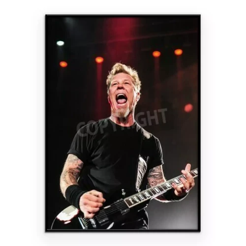 Poster James Hetfield während eines Konzerts