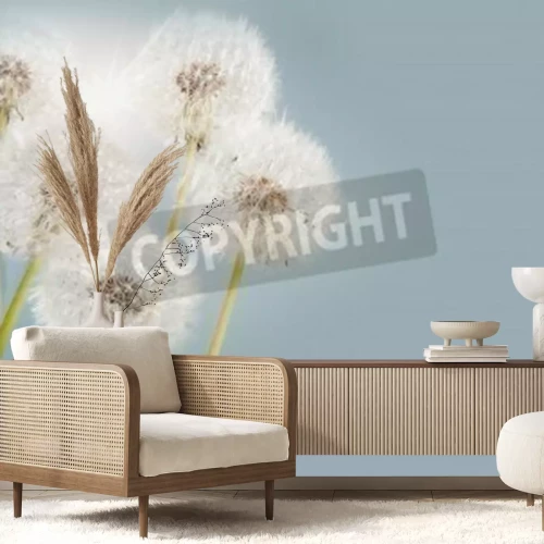 Fototapete Pusteblumen 3D vor dem Hintergrund des Himmels