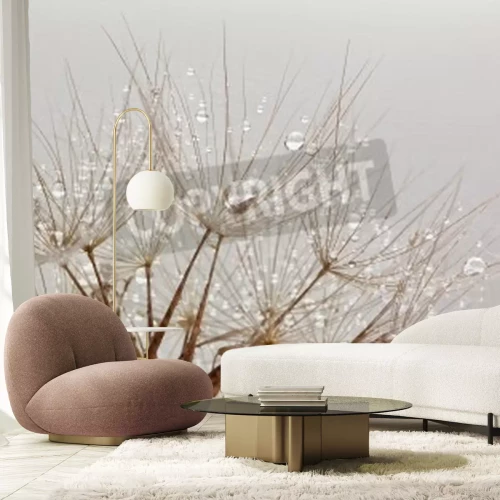 Fototapete Pusteblumensamen im Retro-Stil