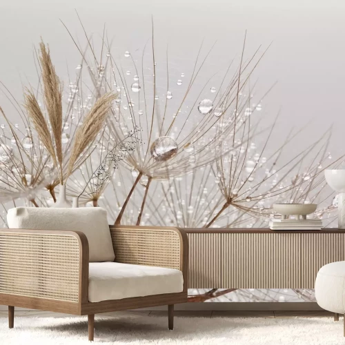 Fototapete Pusteblumensamen im Retro-Stil