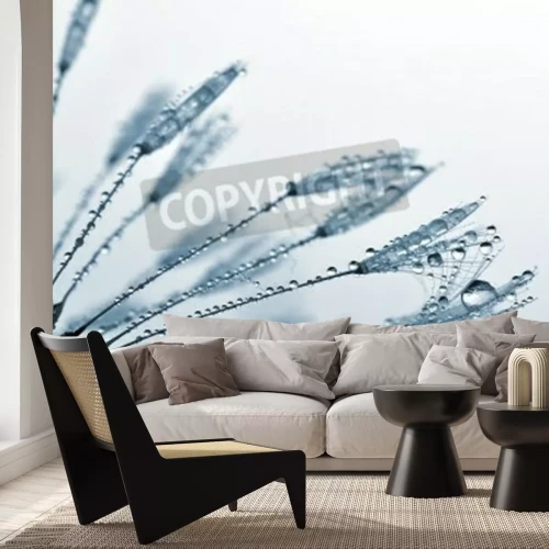 Fototapete Zarte Samen Pusteblumen in Tropfen