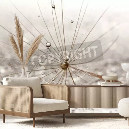 Fototapete Pusteblumensamen und Wassertropfen