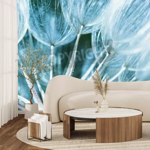 Fototapete Pusteblumensamen in Makro-Version