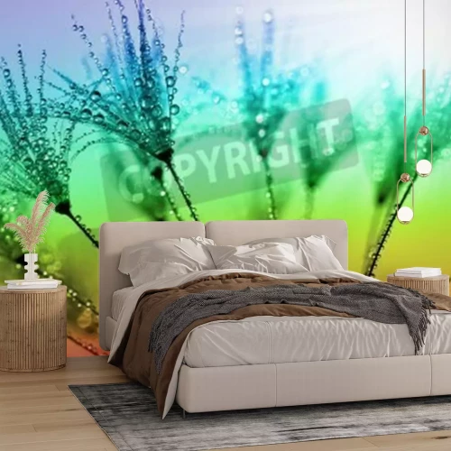 Fototapete Samen der Pusteblume auf regenbogenfarbenem Hintergrund