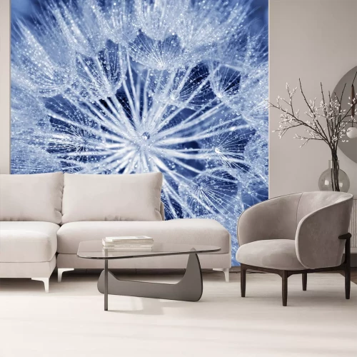 Fototapete Blaue Pusteblumensamen