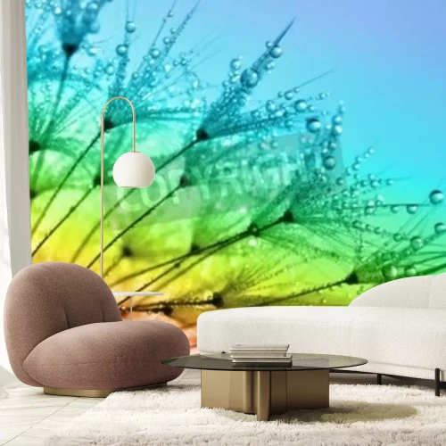 Fototapete Pusteblume auf regenbogenfarbenem Hintergrund