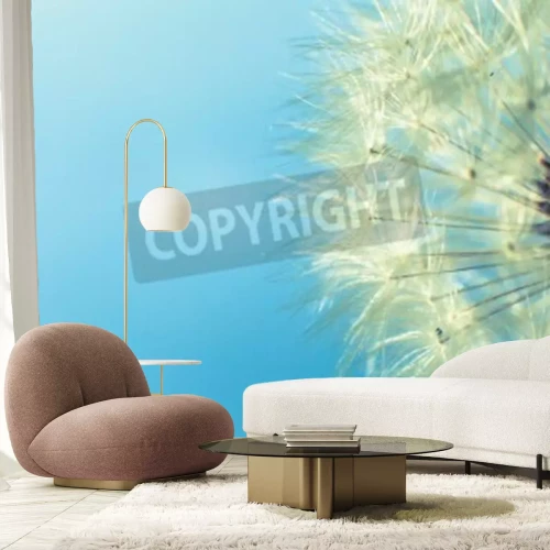 Fototapete Samen der Pusteblume auf blauem Hintergrund