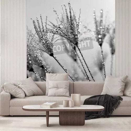 Fototapete Pusteblumen im Wasser