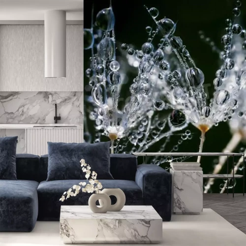 Fototapete Pusteblumen im Regen in Nahaufnahme